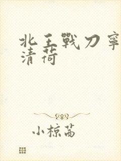 北王战刀宁北苏清荷