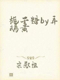 栀子糖by弄白鹅黄