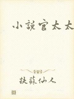小说官太太