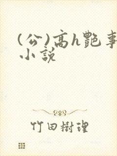 (公)高h艳事小说