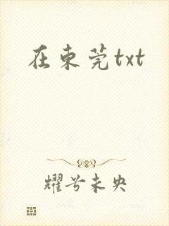 在东莞txt