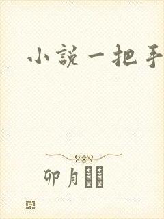 小说一把手
