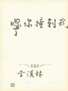 嗯你撞到我的点了