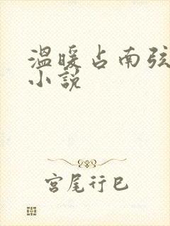 温暖占南弦尹衿小说