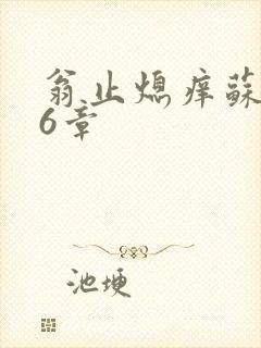 翁止熄痒苏钥第6章