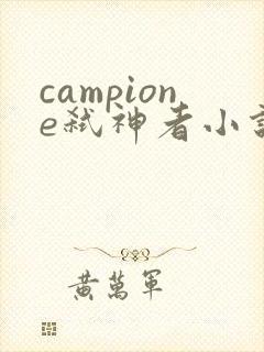 campione弑神者小说