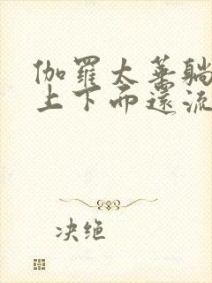 伽罗太华躺在床上下面还流东西