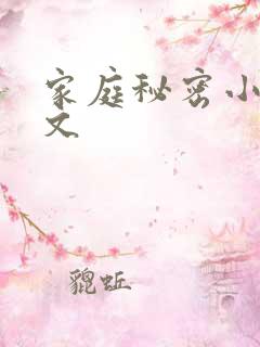 家庭秘密小说全文