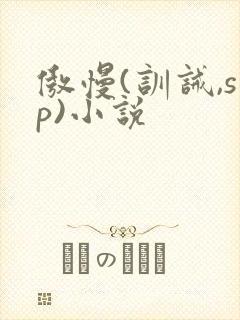 傲慢(训诫,sp)小说