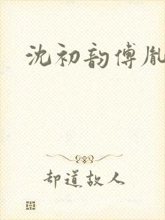 沈初韵傅胤小说