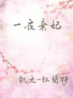 一夜弃妃