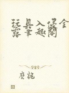 玩具入侵金银花露笔趣阁