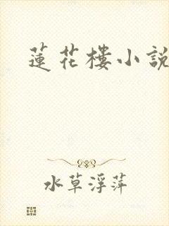莲花楼小说