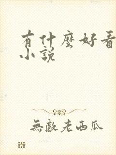 有什么好看的h小说