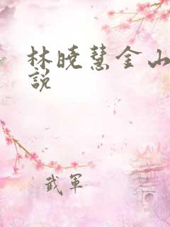 林晓慧金山的小说