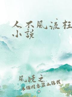 人不风流枉少年小说