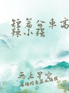 短篇公车高h肉辣小强