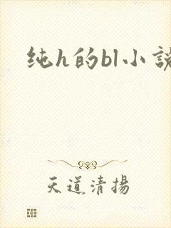 纯h的bl小说
