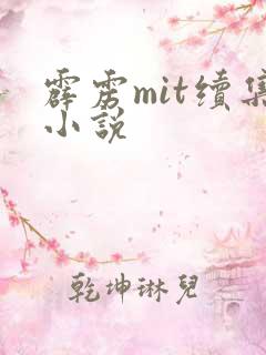 霹雳mit续集小说