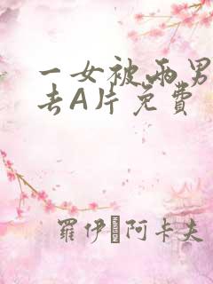 一女被两男桶进去A片免费