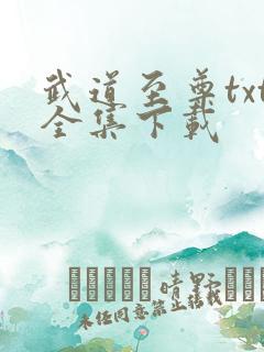 武道至尊txt全集下载