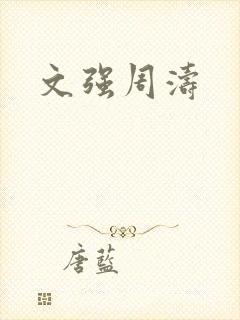 文强周涛