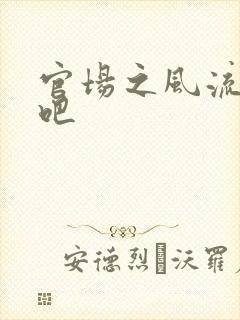 官场之风流人生吧