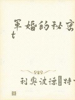 军婚的秘密txt