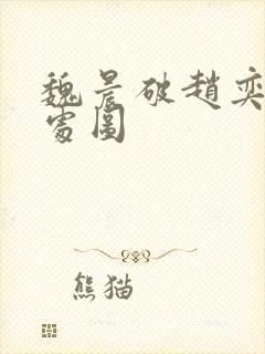 魏晨破赵奕欢的处图