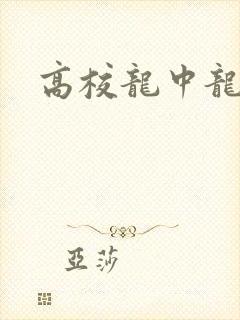 高校龙中龙全集