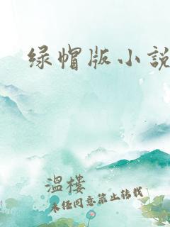 绿帽版小说