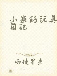 小米的玩具羞辱日记