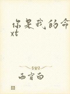 你是我的命运txt