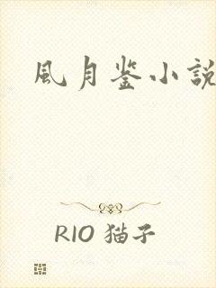 风月鉴小说论坛