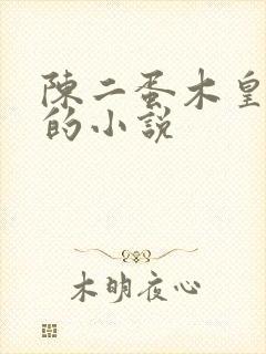陈二蛋木皇真经的小说