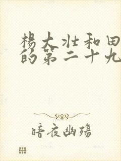 杨大壮和田桂花的第二十九