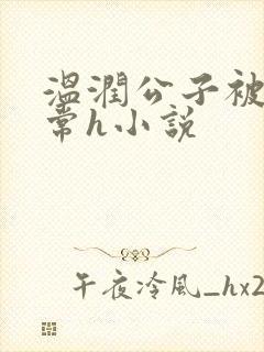 温润公子被脔日常h小说