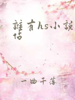 谁有hs小说网站