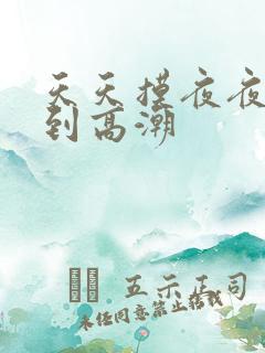 天天摸夜夜摸摸到高潮