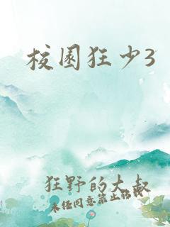 校园狂少3