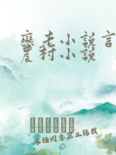 恋老小说言情网农村小说