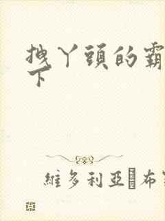 拽丫头的霸道殿下