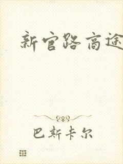 新官路商途