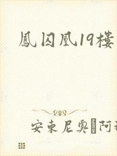 凤囚凰19楼