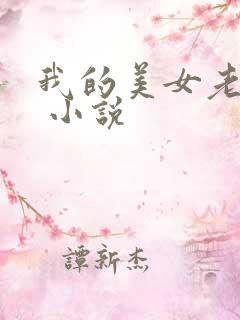 我的美女老婆们 小说