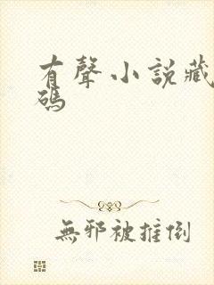 有声小说藏地密码