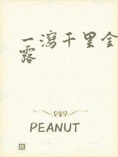 一泻千里金银花露