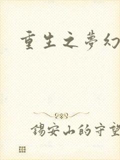 重生之梦幻年代