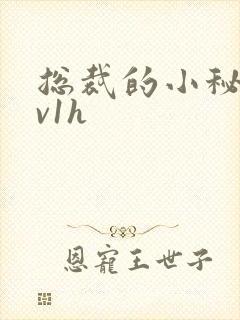 总裁的小秘书1v1h