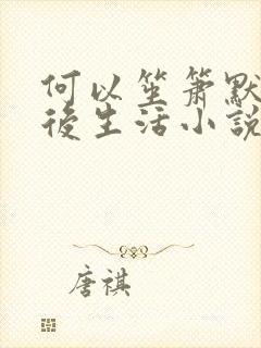 何以笙箫默之婚后生活小说